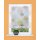 SCHLAUFENRAFFROLLO VOILE DIGITALDRUCK RAWLINS ORANGE 140 X 100 CM